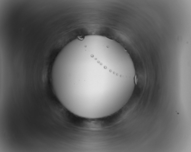 X0000089850221200707121724