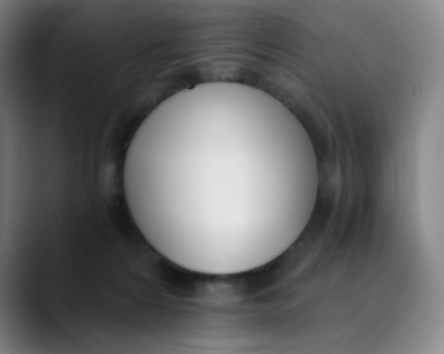 X0000089850224200707121724