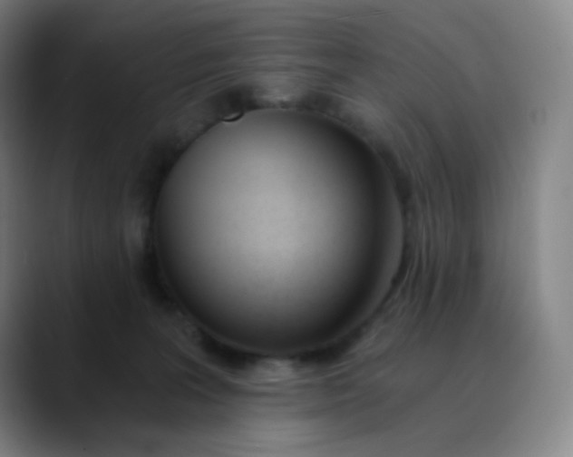 X0000089850227200707121724