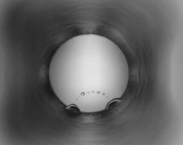 X0000089850228200707121724