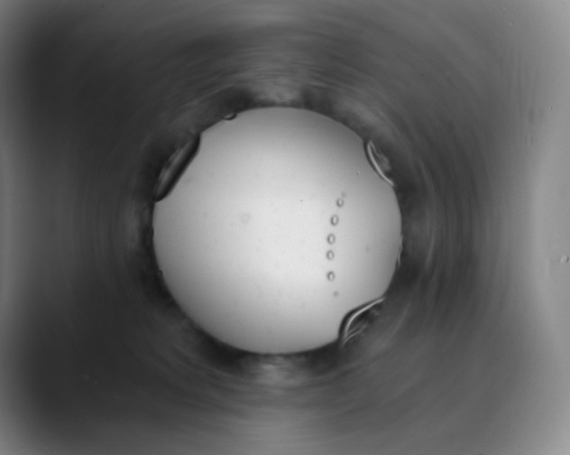 X0000089850229200707121724