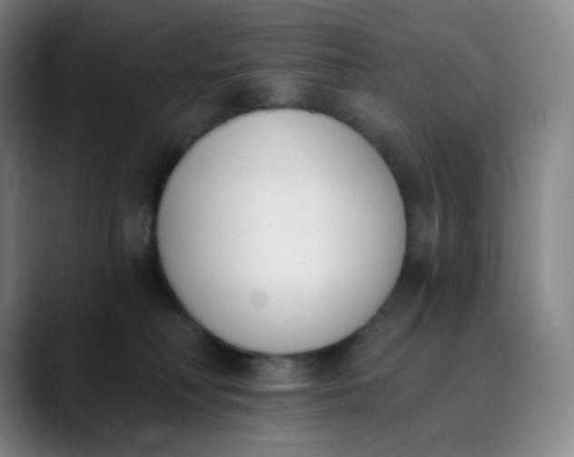 X0000089850230200707121724