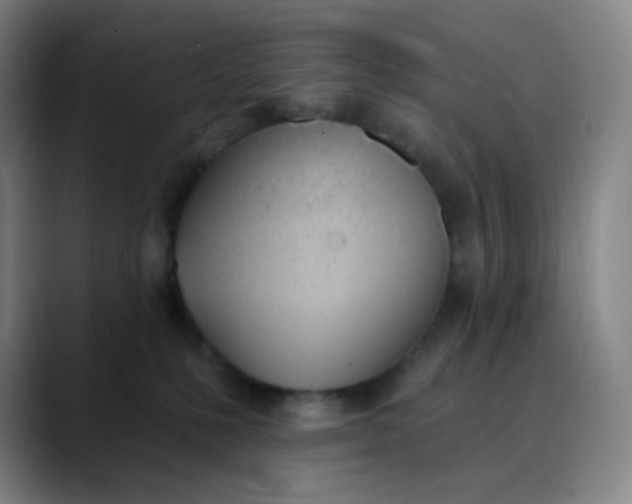 X0000089850231200707121724