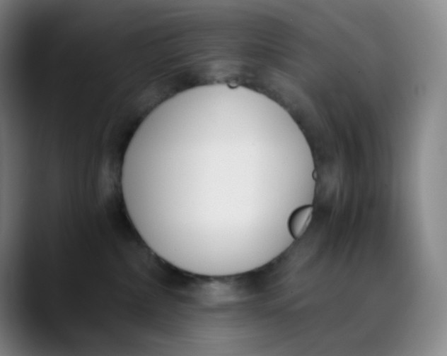 X0000089850236200707121724