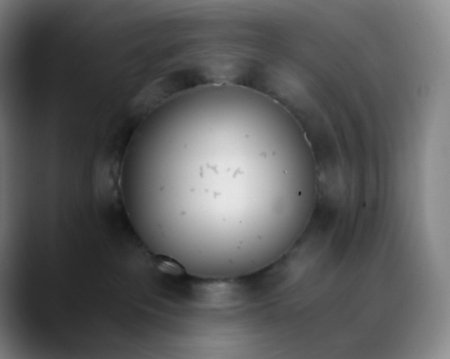 X0000089850237200707121723