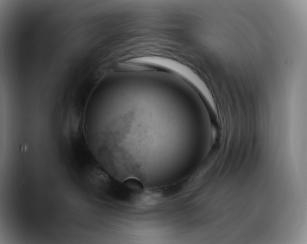 X0000089850239200707121723