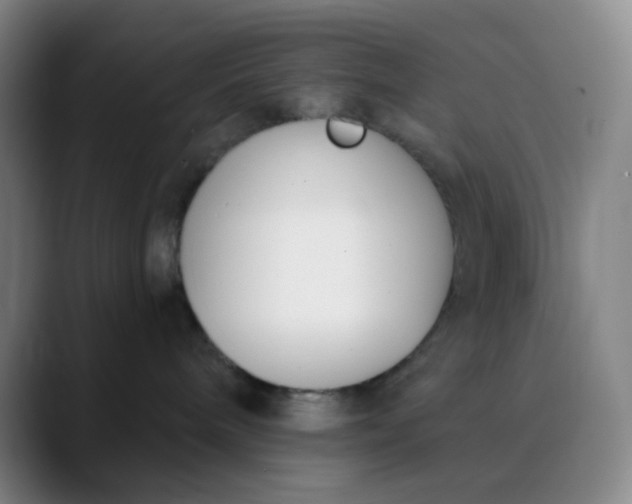 X0000089850240200707121723