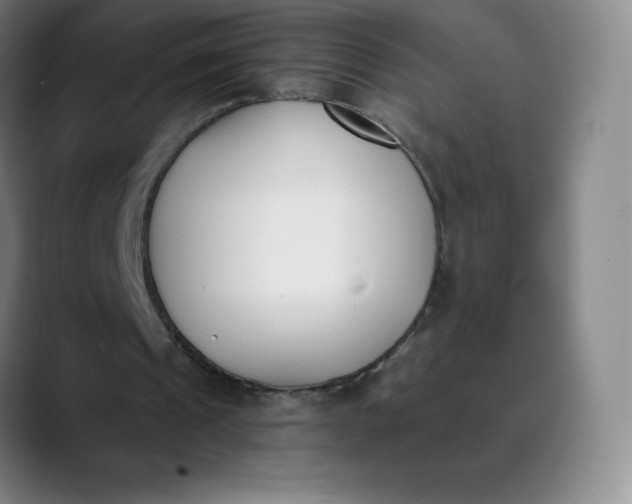 X0000089850241200707121723