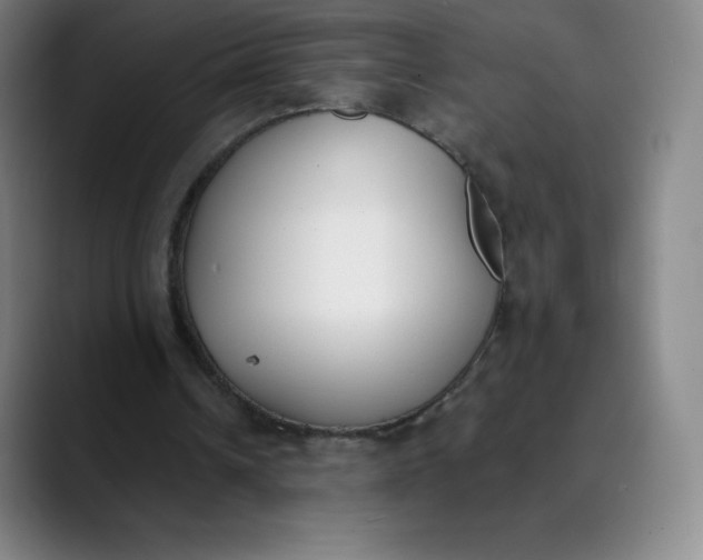 X0000089850242200707121723