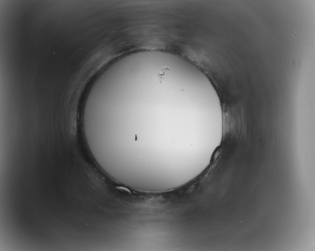 X0000089850243200707121723