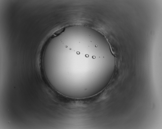 X0000089850244200707121723