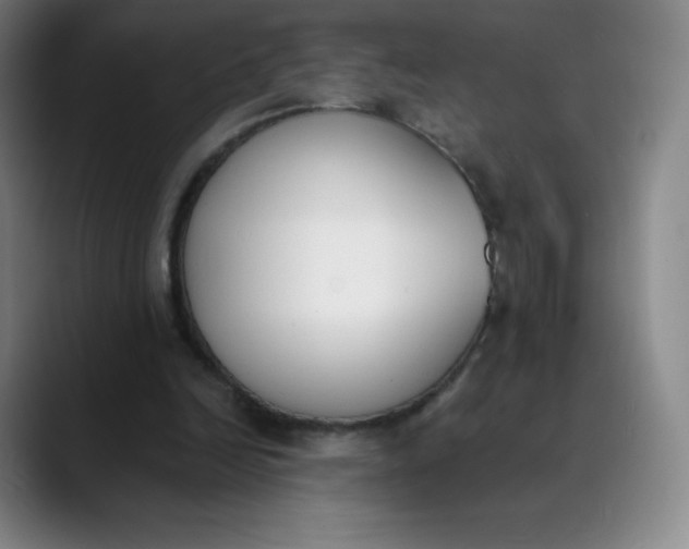 X0000089850246200707121723