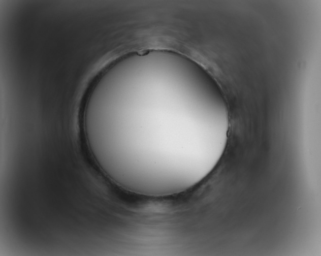 X0000089850248200707121723