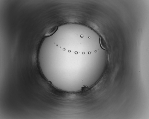 X0000089850249200707121723