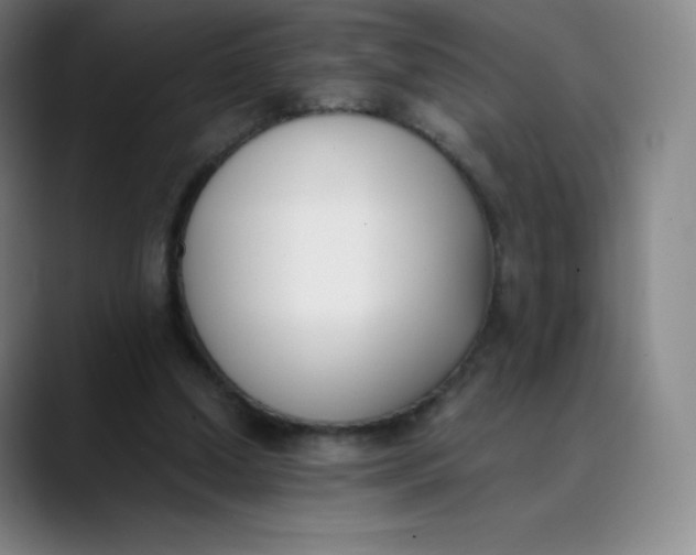 X0000089850250200707121723