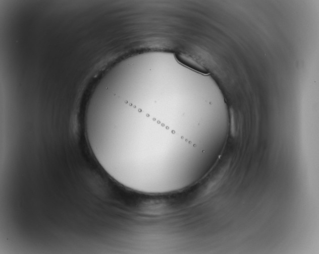 X0000089850252200707121723