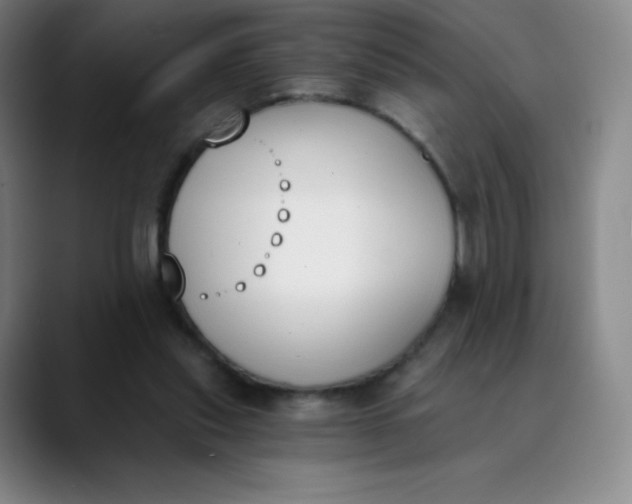 X0000089850253200707121723