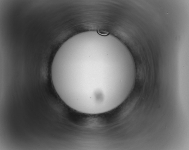 X0000089850255200707121723