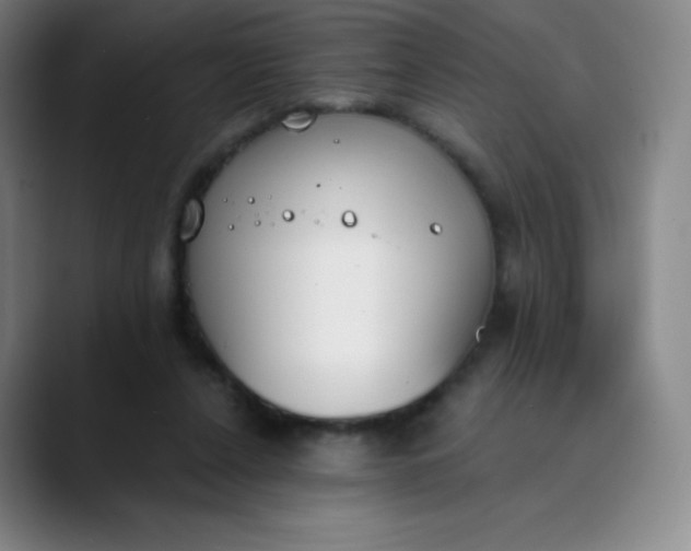 X0000089850256200707121723