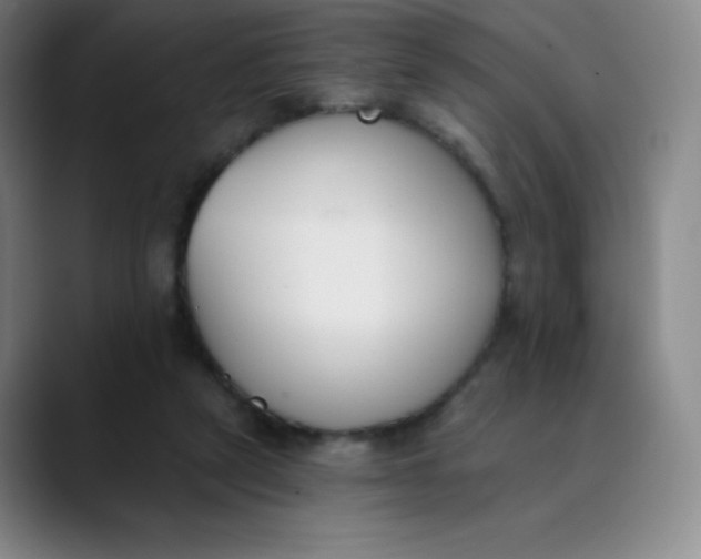 X0000089850257200707121723