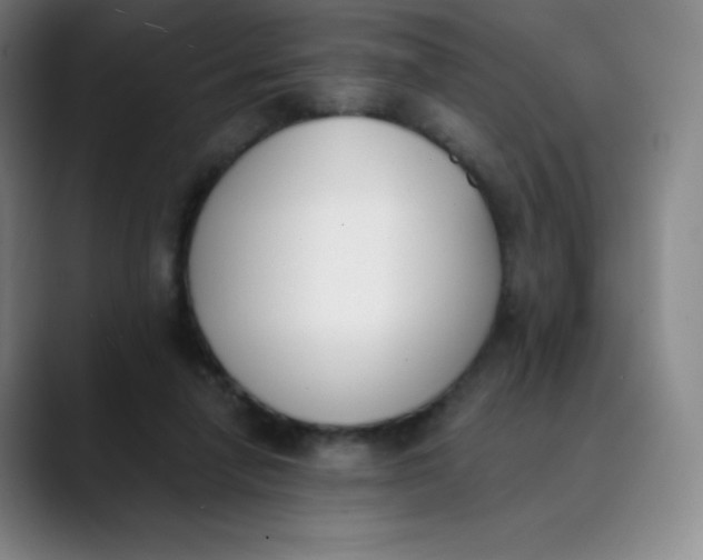 X0000089850258200707121723