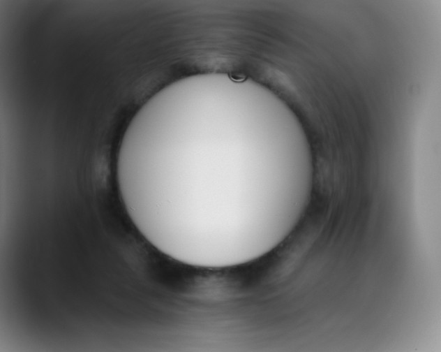 X0000089850259200707121723