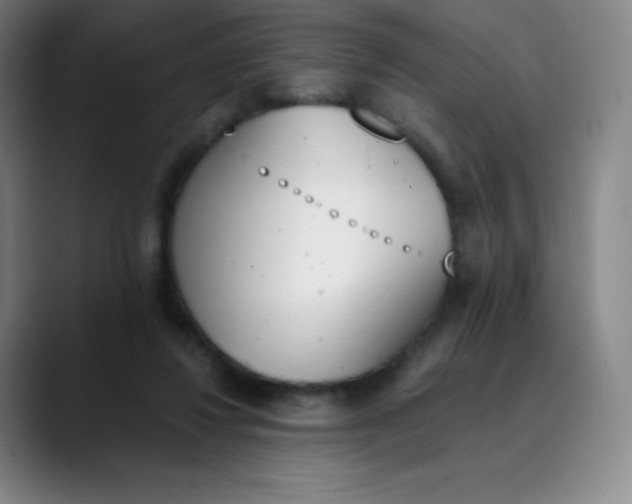 X0000089850260200707121723