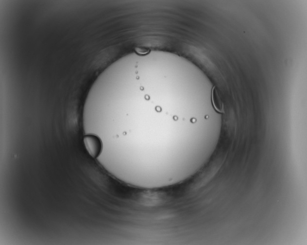 X0000089850261200707121723