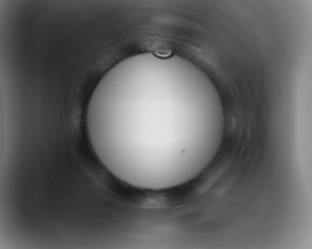 X0000089850263200707121723