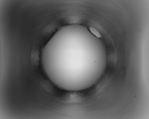 X0000089850264200707121723