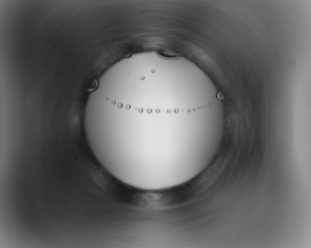 X0000089850265200707121723