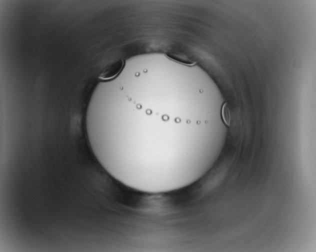 X0000089850269200707121723