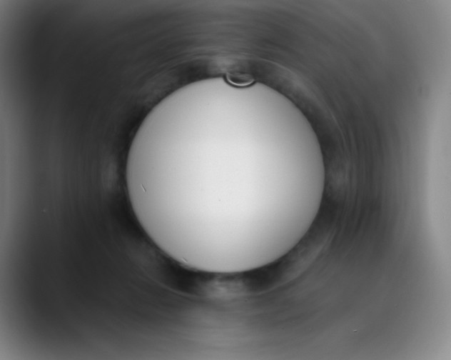 X0000089850270200707121723