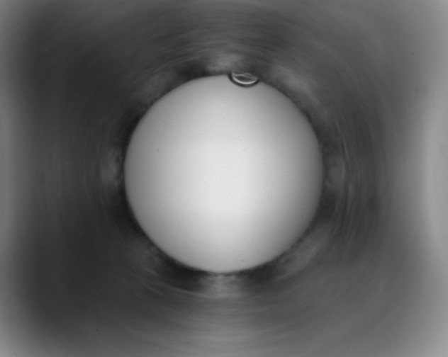 X0000089850273200707121723