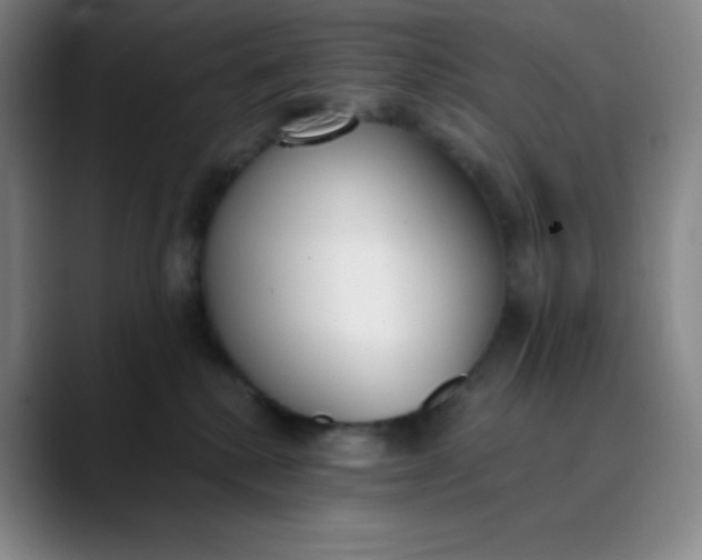 X0000089850280200707121723