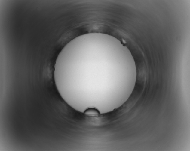 X0000089850282200707121723