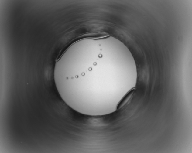 X0000089850283200707121723