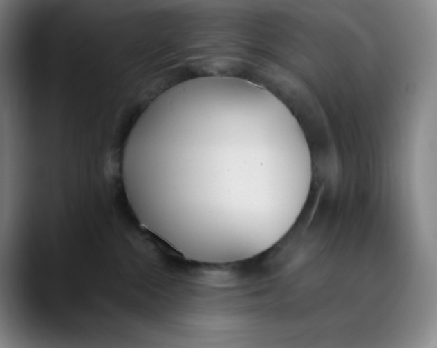 X0000089850284200707121723