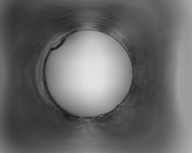 X0000089850289200707121723