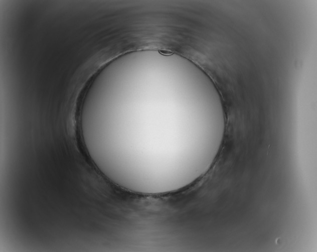 X0000089850290200707121723