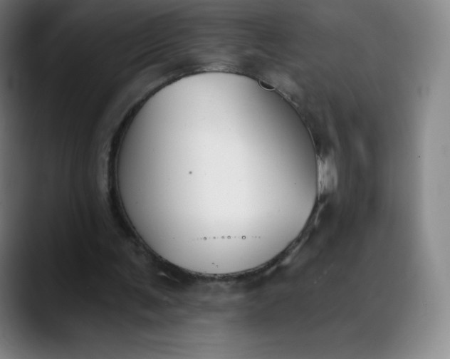 X0000089850291200707121723