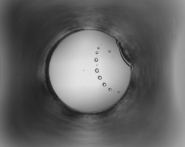 X0000089850292200707121723