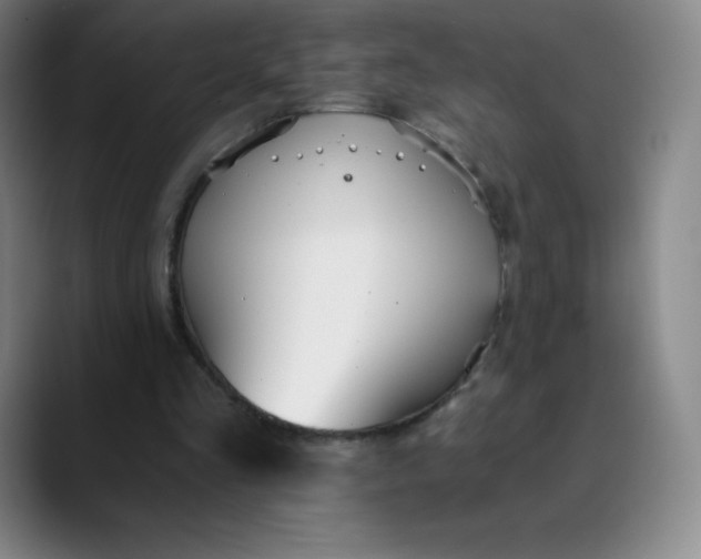 X0000089850293200707121723