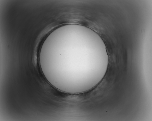 X0000089850294200707121723