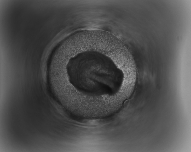 X0000089850295200707121723