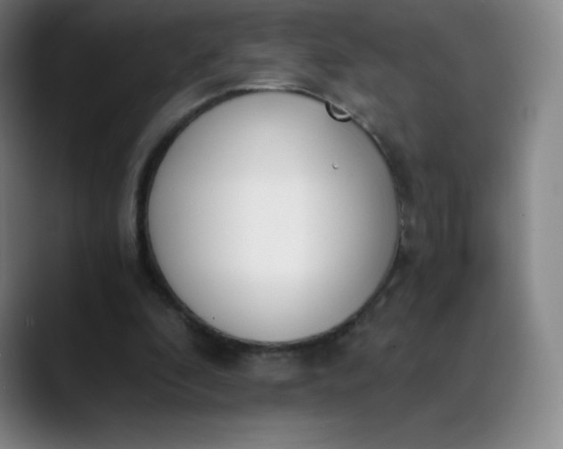 X0000089850296200707121723