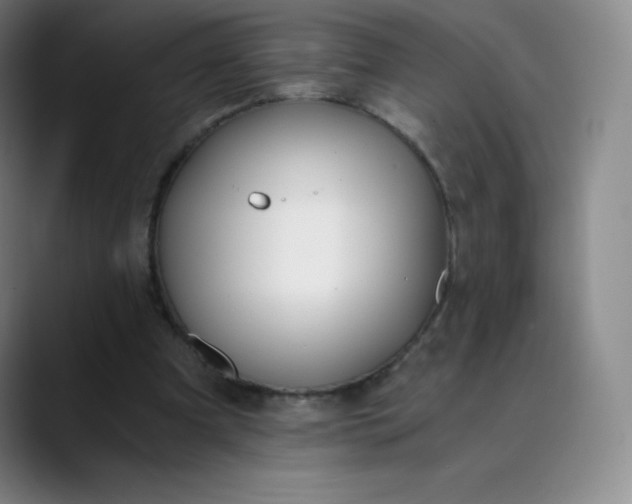 X0000089850297200707121723