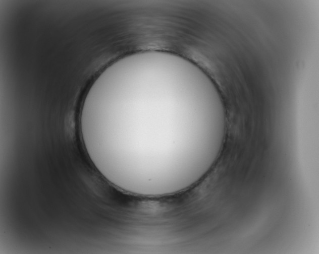 X0000089850298200707121723