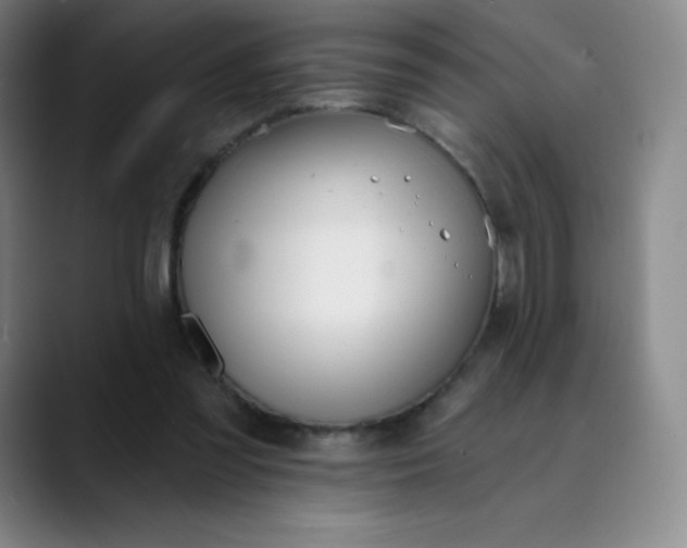 X0000089850301200707121723