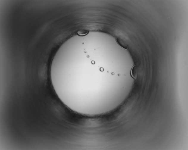 X0000089850303200707121723